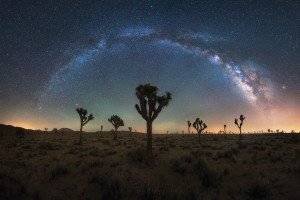Joshua Tree Milky Way Galaxy Night Sky