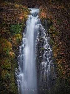 Forest and Waterfall Photography by Michael Shainblum
