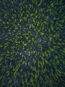 Oregon aerial photos