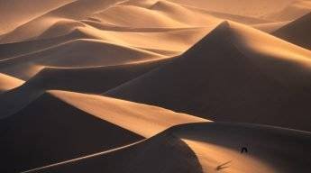 Death Valley National Park, Sand Dunes, California Landscape Photography