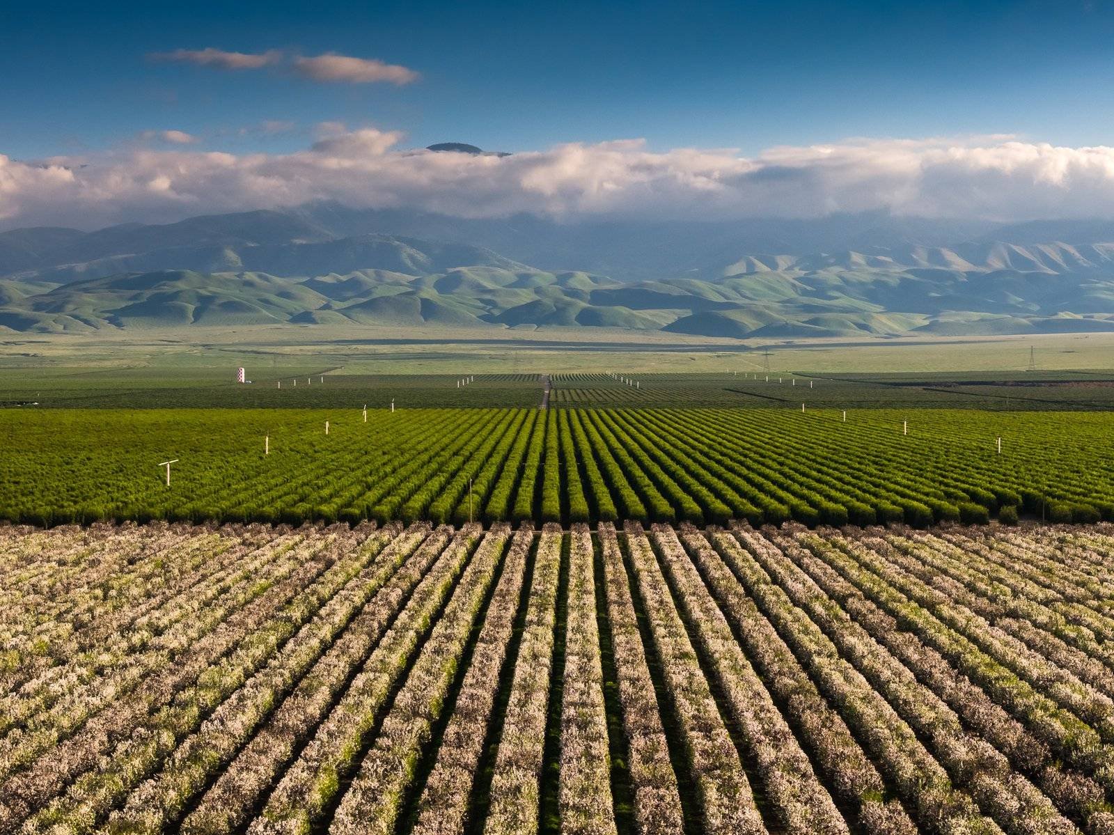 California Central Valley aerial agriculture drone photography commercial operations