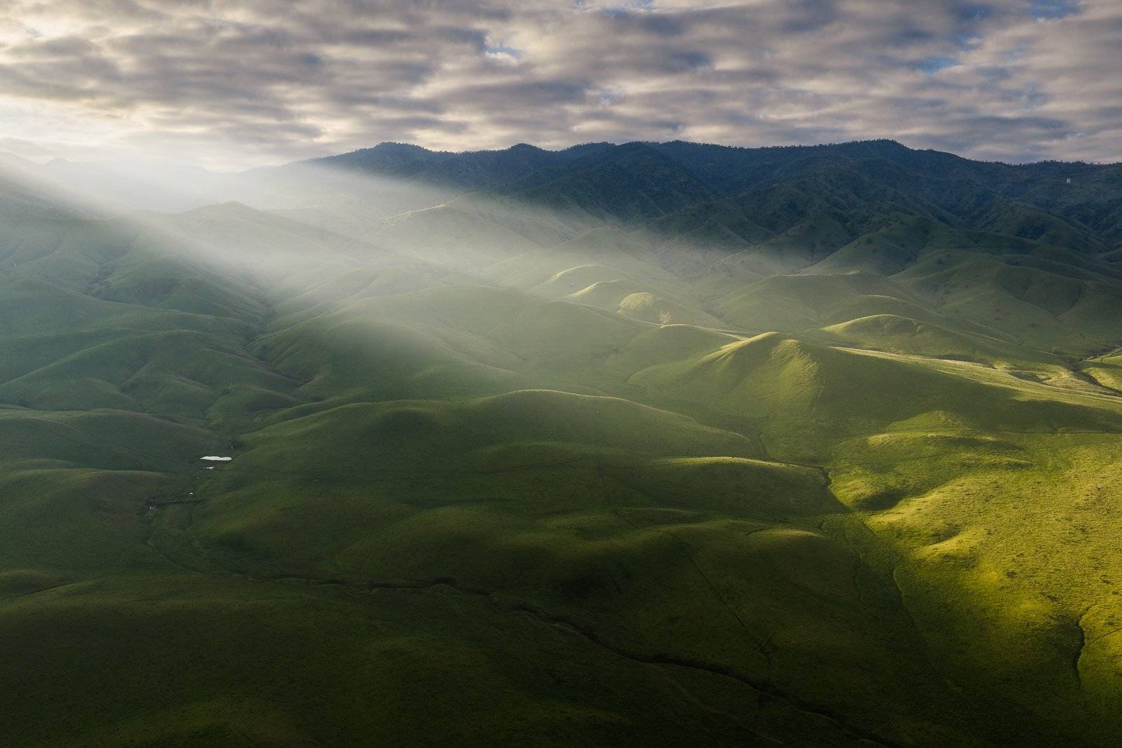 California farmland aerial photography drone commercial agriculture Central Valley